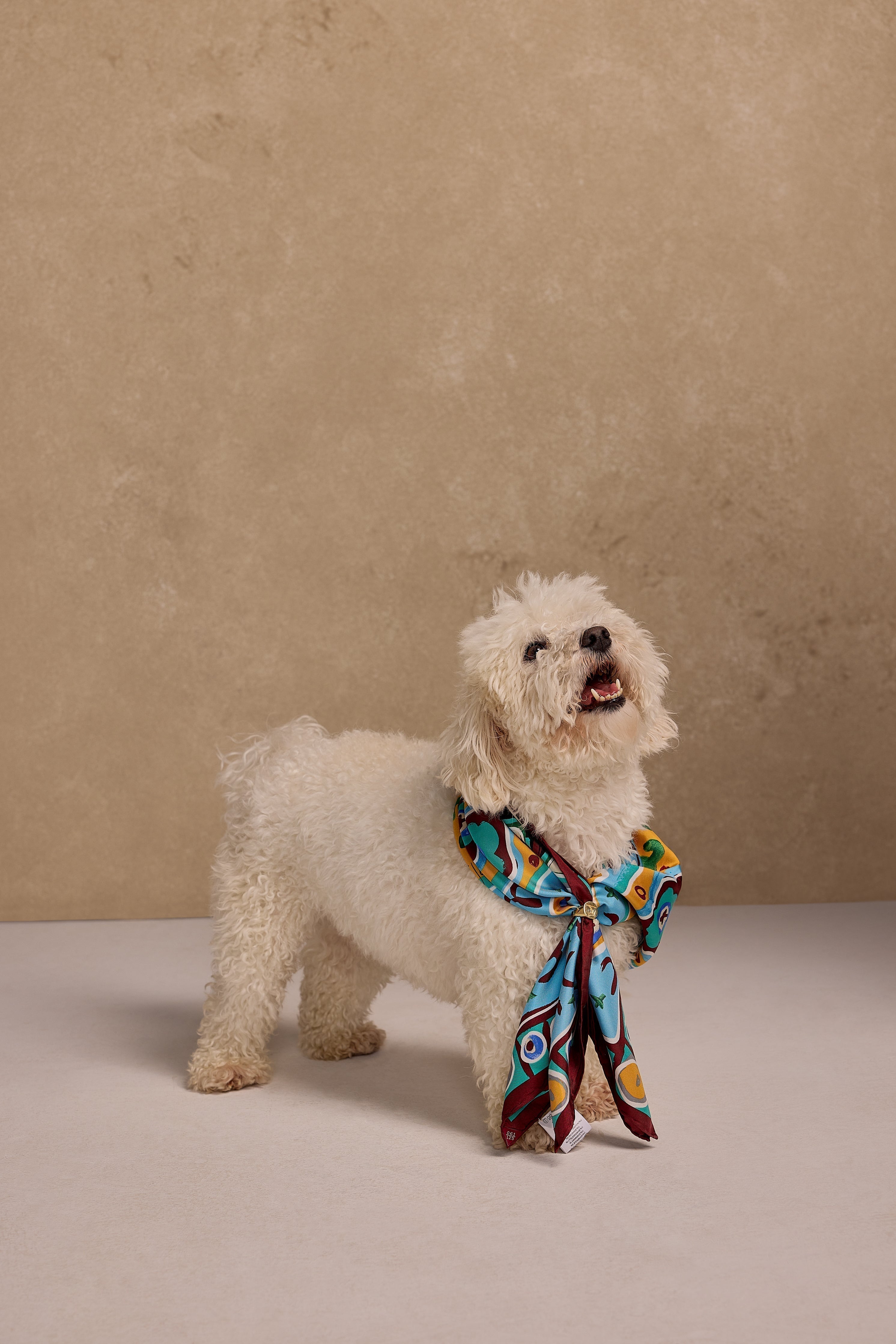 Art of F/W 2024